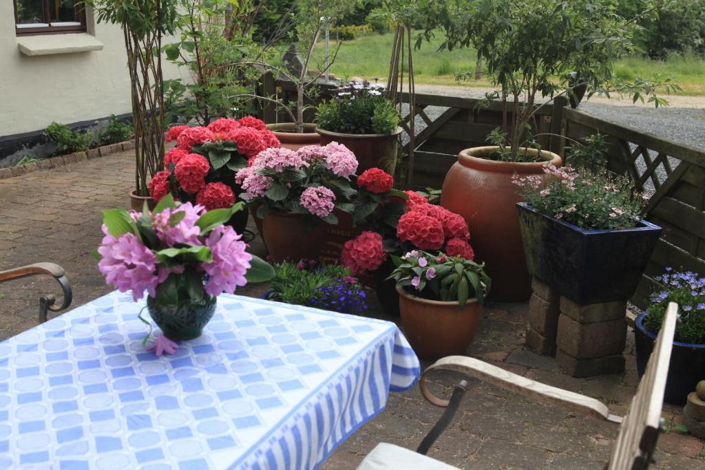 Bed & Breakfast Horsens Exterior photo