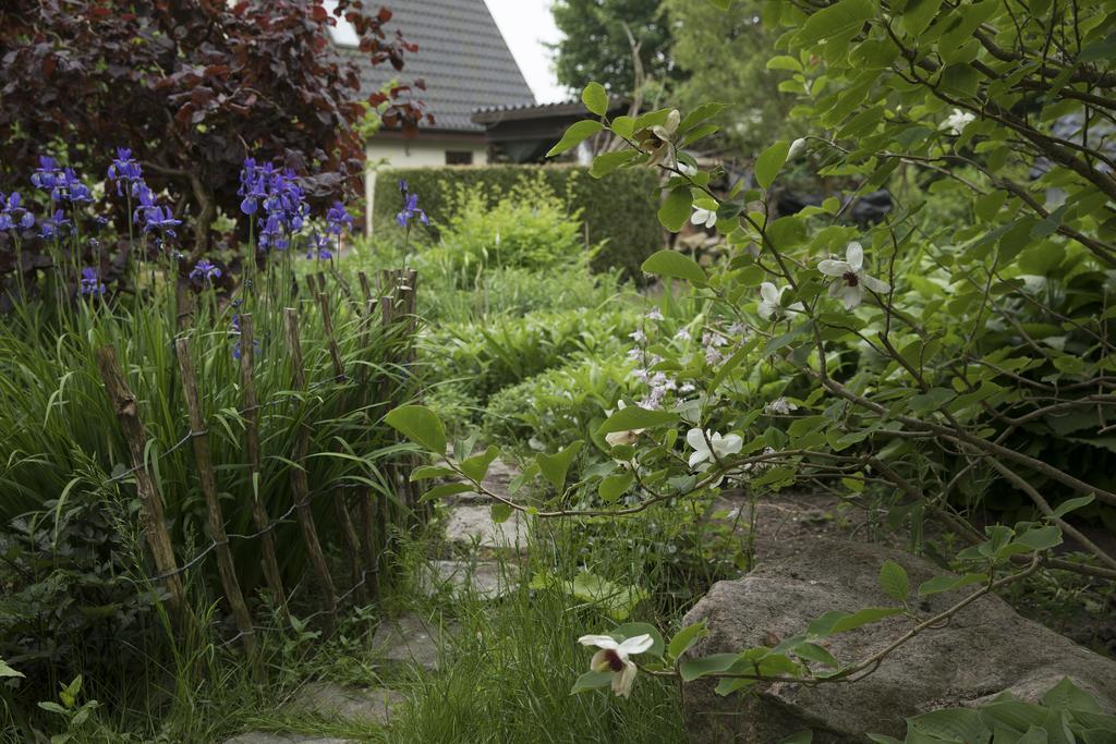 Bed & Breakfast Horsens Exterior photo